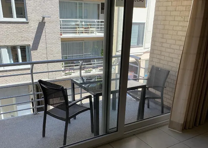 Sauvignon Centrum Met Garagestaanplaats * 奥斯滕德