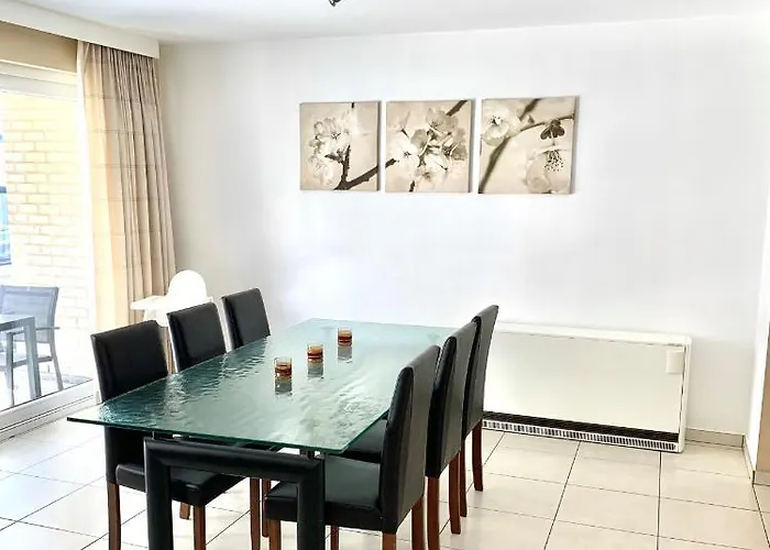 Sauvignon Centrum Met Garagestaanplaats 公寓 奥斯滕德