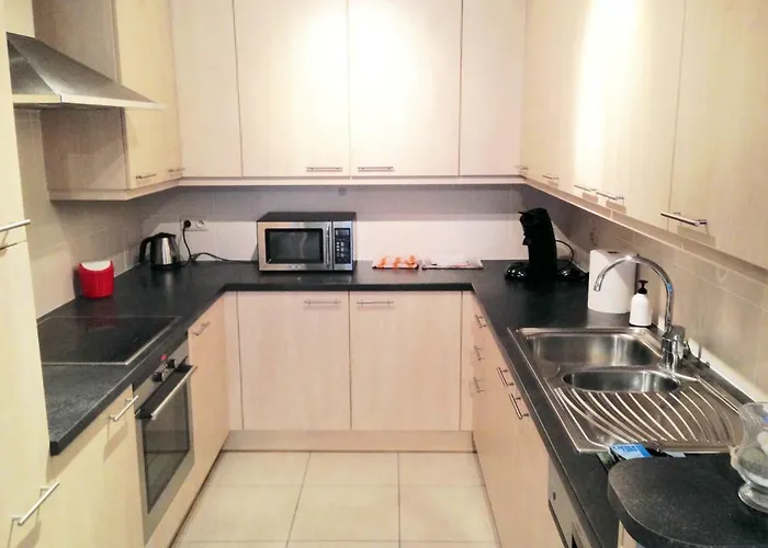 Sauvignon Centrum Met Garagestaanplaats * 奥斯滕德