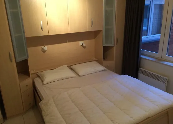 Sauvignon Centrum Met Garagestaanplaats * 奥斯滕德